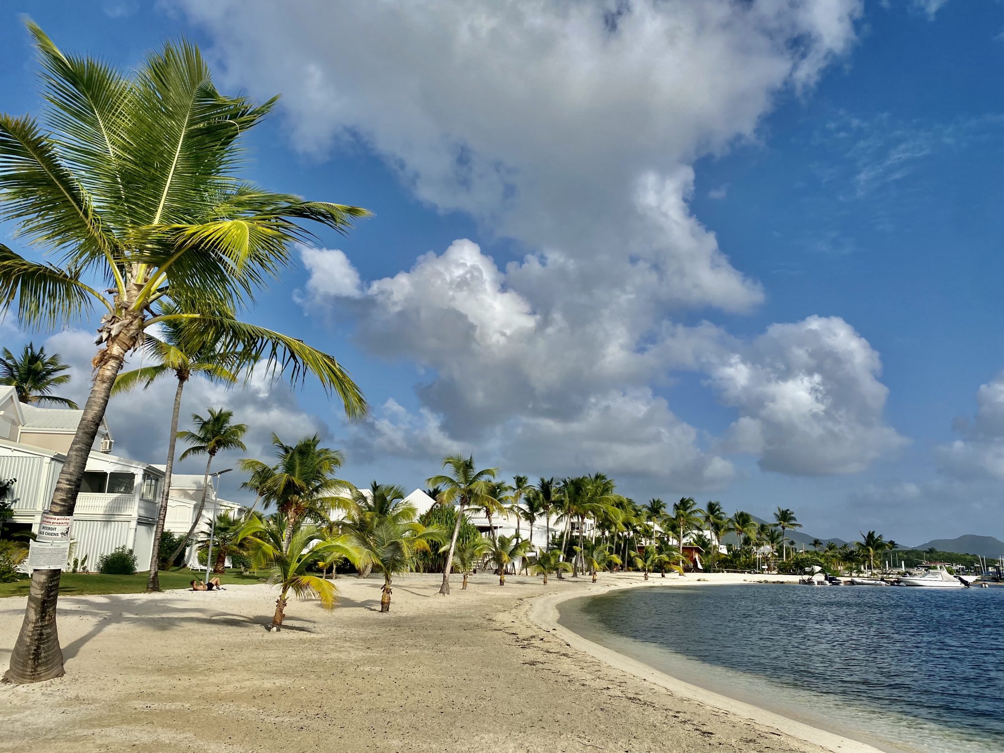 Plage Privée- Duplex LA JUNGLE BLEUE -Résidence Anse Margot - île de SAINT MARTIN - Antilles Françaises