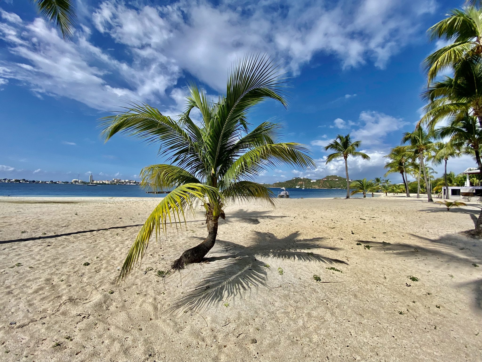 Plage privée cocotier - Duplex LA JUNGLE BLEUE -Résidence Anse Margot - île de SAINT MARTIN - Antilles Françaises